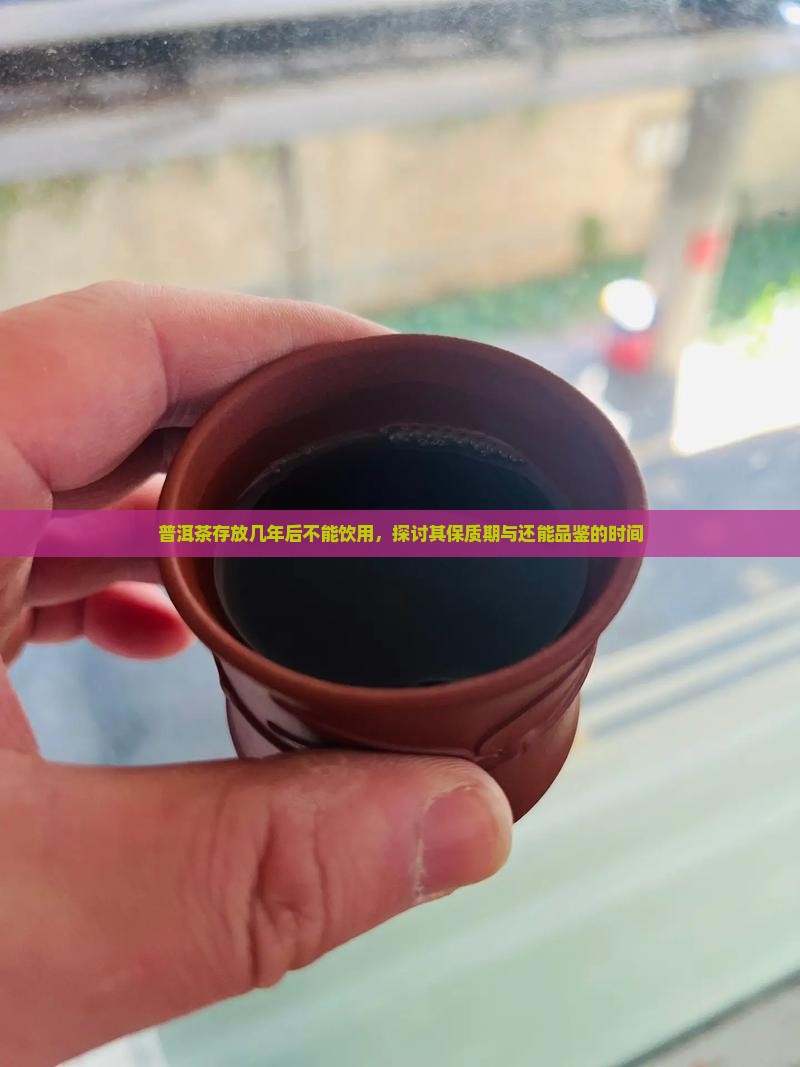 普洱茶存放几年后不能饮用，探讨其保质期与还能品鉴的时间