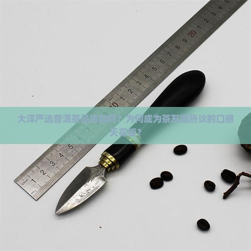 大洋严选普洱茶品质如何？为何成为茶友圈热议的口感天花板？