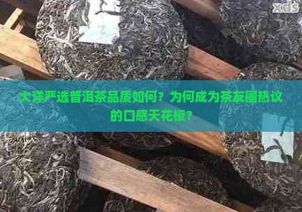 大洋严选普洱茶品质如何？为何成为茶友圈热议的口感天花板？