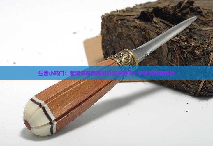 生活小窍门：普洱纸茶包装可以直接泡吗？茶叶泡茶新体验