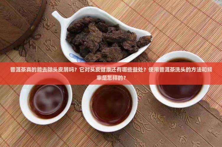普洱茶真的能去除头皮屑吗？它对头皮健康还有哪些益处？使用普洱茶洗头的方法和频率是怎样的？