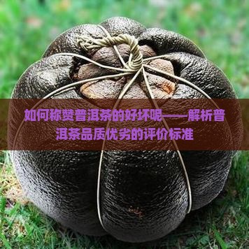 如何称赞普洱茶的好坏呢——解析普洱茶品质优劣的评价标准