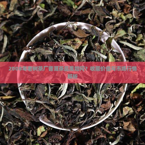 2008年老树茶厂普洱茶品质如何？收藏价值与市场行情解析