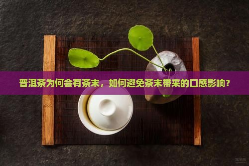 普洱茶为何会有茶末，如何避免茶末带来的口感影响？