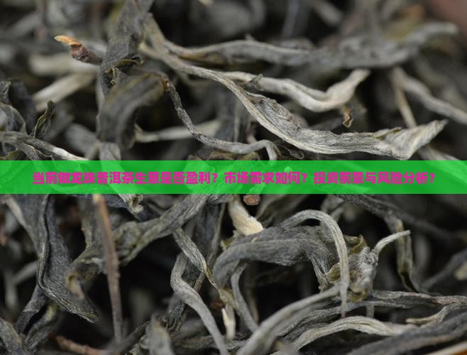 当前做龙珠普洱茶生意是否盈利？市场需求如何？投资前景与风险分析？