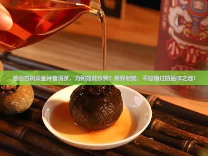 昔归古树黄金片普洱茶，为何如此珍贵？茶界新宠，不容错过的品味之选！