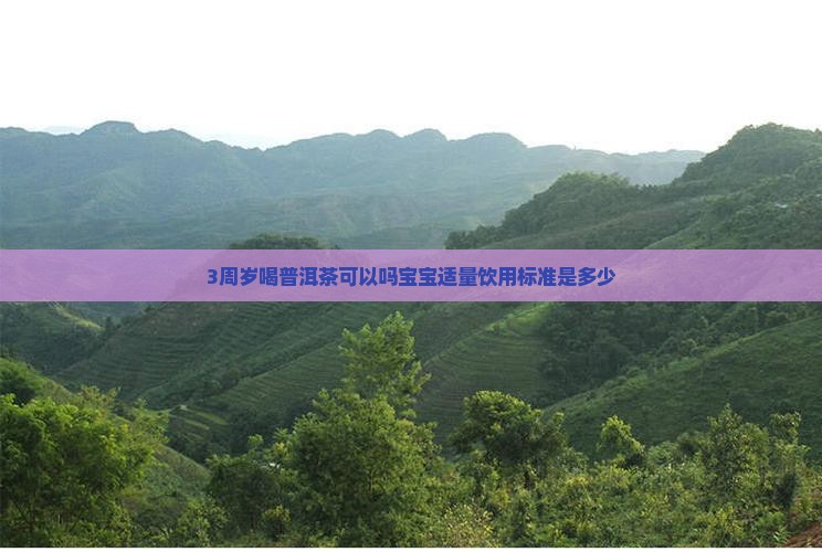 3周岁喝普洱茶可以吗宝宝适量饮用标准是多少