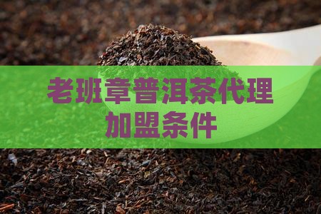 老班章普洱茶代理加盟条件