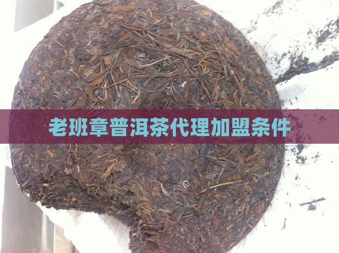 老班章普洱茶代理加盟条件