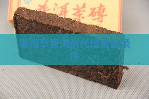 老班章普洱茶代理加盟条件