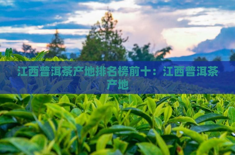 江西普洱茶产地排名榜前十：江西普洱茶产地