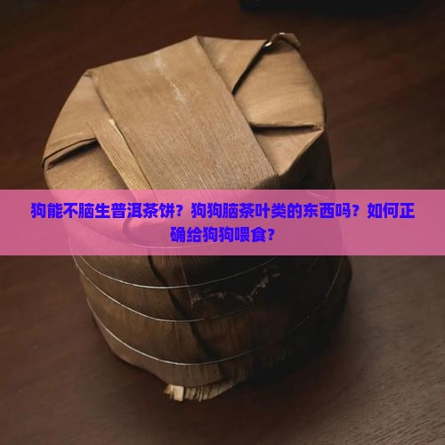 狗能不脑生普洱茶饼？狗狗脑茶叶类的东西吗？如何正确给狗狗喂食？