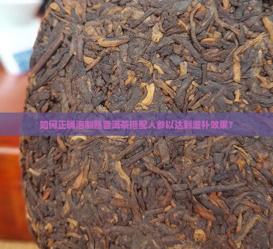 如何正确泡制熟普洱茶搭配人参以达到滋补效果？