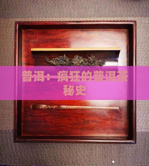普洱：疯狂的普洱茶秘史