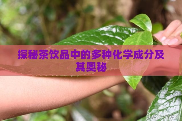 探秘茶饮品中的多种化学成分及其奥秘