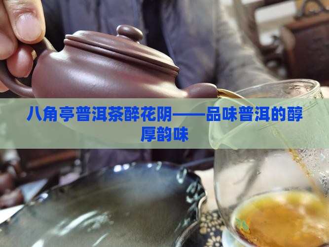八角亭普洱茶醉花阴——品味普洱的醇厚韵味