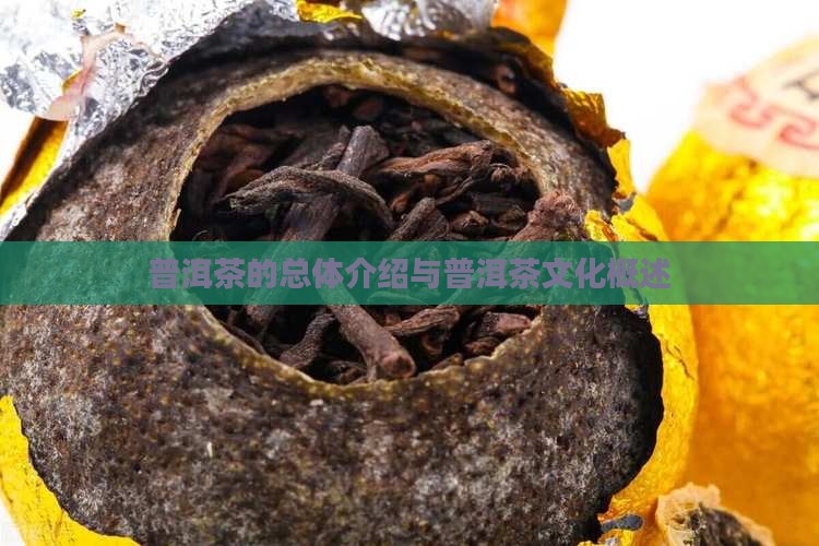 普洱茶的总体介绍与普洱茶文化概述