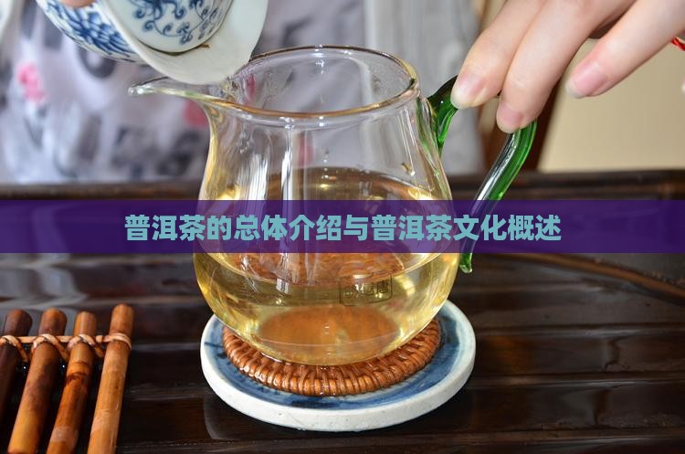 普洱茶的总体介绍与普洱茶文化概述