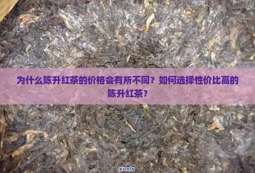 为什么陈升红茶的价格会有所不同？如何选择性价比高的陈升红茶？