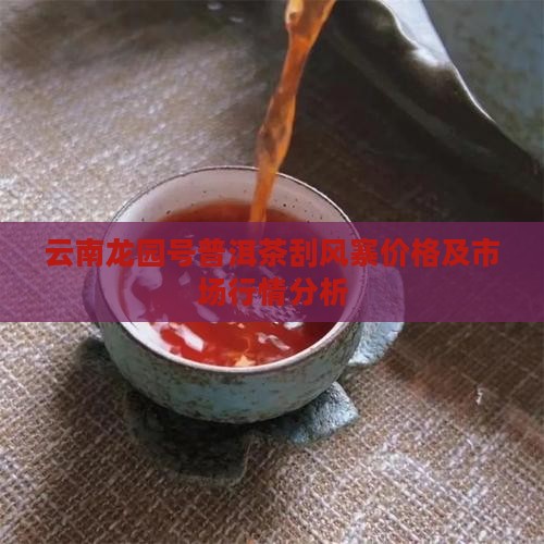 云南龙园号普洱茶刮风寨价格及市场行情分析