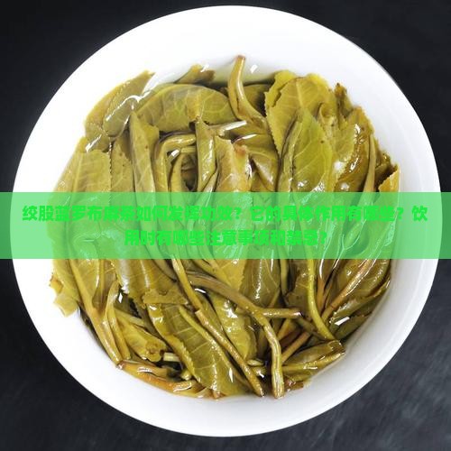 绞股蓝罗布麻茶如何发挥功效？它的具体作用有哪些？饮用时有哪些注意事项和禁忌？