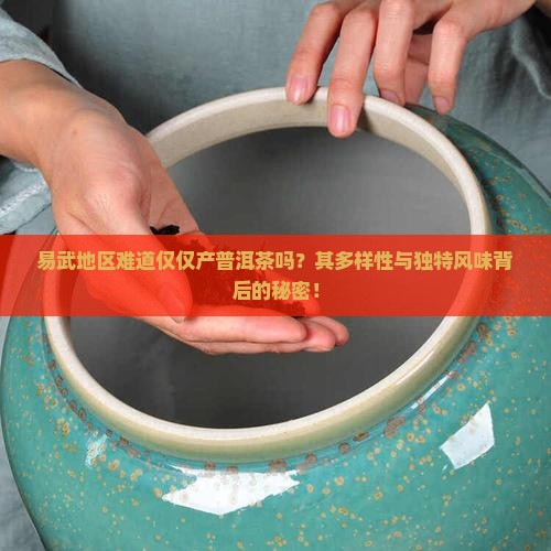 易武地区难道仅仅产普洱茶吗？其多样性与独特风味背后的秘密！