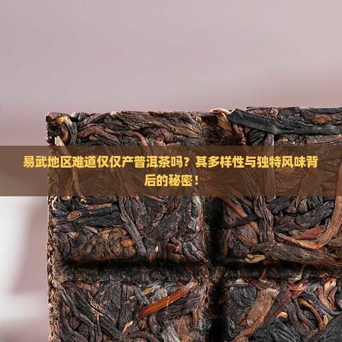 易武地区难道仅仅产普洱茶吗？其多样性与独特风味背后的秘密！