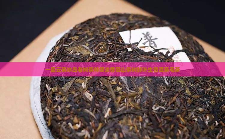 一品云茶冰岛老树茶特级浓香高山茶树鲜叶生普洱茶毛茶