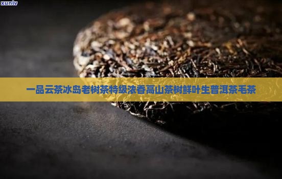 一品云茶冰岛老树茶特级浓香高山茶树鲜叶生普洱茶毛茶