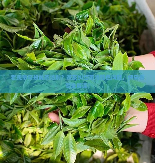 老班章与易武茶汤别？茶友纠结茶汤颜色问题，快来看专业解读！