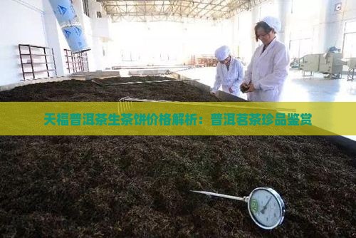天福普洱茶生茶饼价格解析：普洱茗茶珍品鉴赏