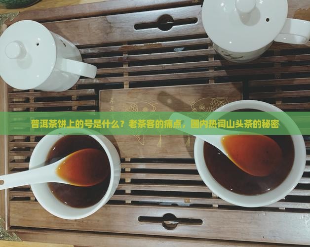 普洱茶饼上的号是什么？老茶客的痛点，圈内热词山头茶的秘密