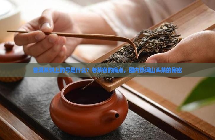 普洱茶饼上的号是什么？老茶客的痛点，圈内热词山头茶的秘密