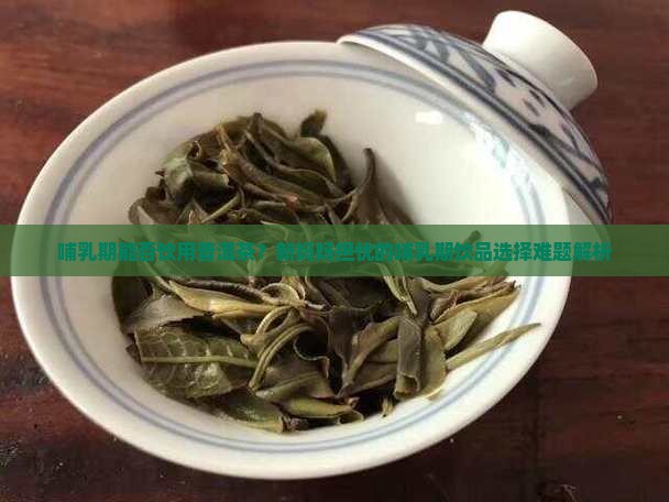 哺乳期能否饮用普洱茶？新妈妈担忧的哺乳期饮品选择难题解析
