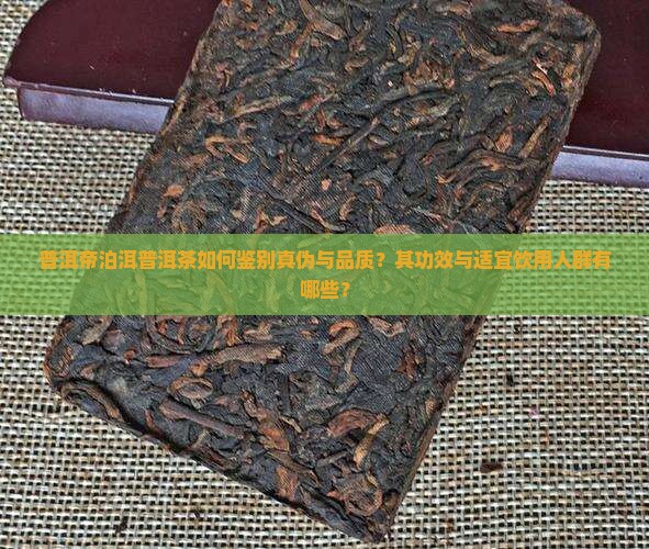 普洱帝泊洱普洱茶如何鉴别真伪与品质？其功效与适宜饮用人群有哪些？