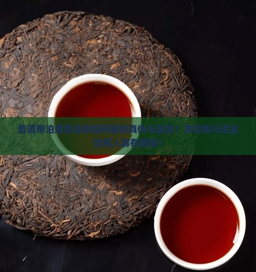 普洱帝泊洱普洱茶如何鉴别真伪与品质？其功效与适宜饮用人群有哪些？