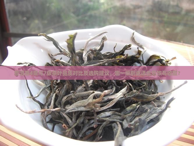 普洱茶4级与7级茶叶品质对比及选购建议，哪一级别更适合品饮与收藏？