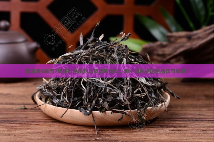普洱茶4级与7级茶叶品质对比及选购建议，哪一级别更适合品饮与收藏？