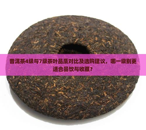 普洱茶4级与7级茶叶品质对比及选购建议，哪一级别更适合品饮与收藏？