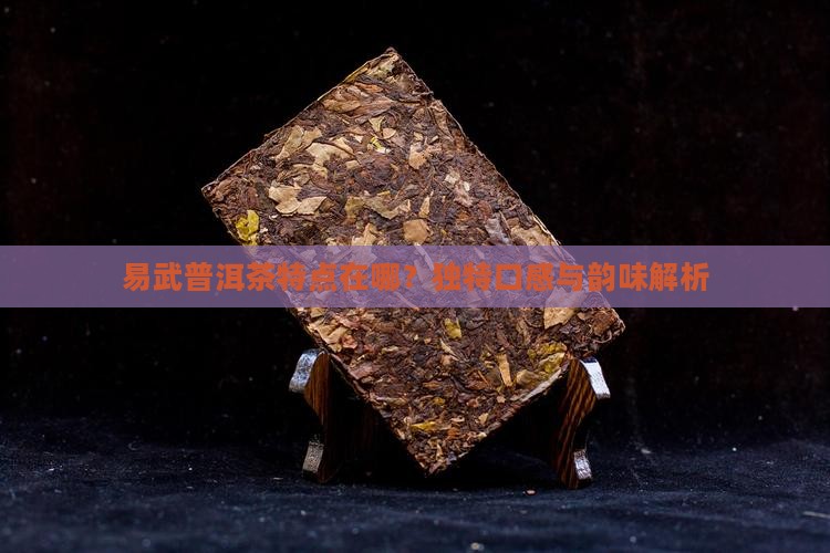 易武普洱茶特点在哪？独特口感与韵味解析