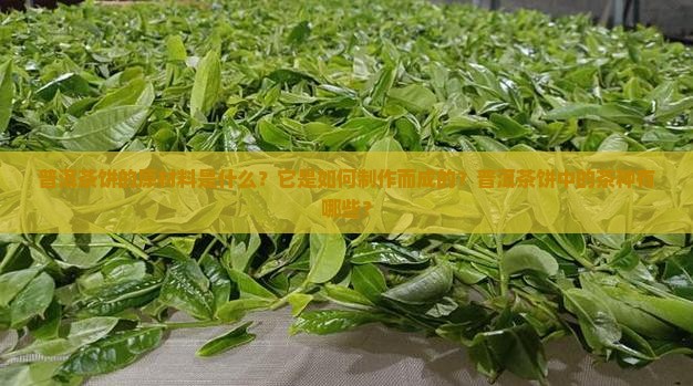 普洱茶饼的原材料是什么？它是如何制作而成的？普洱茶饼中的茶种有哪些？