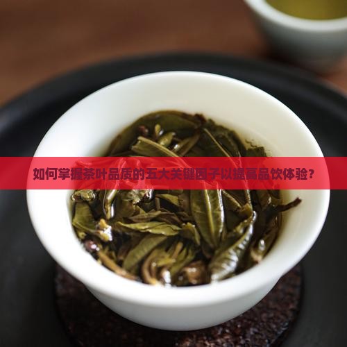 如何掌握茶叶品质的五大关键因子以提高品饮体验? 如何掌握茶叶品质的五大关键因子以提高品饮体验?