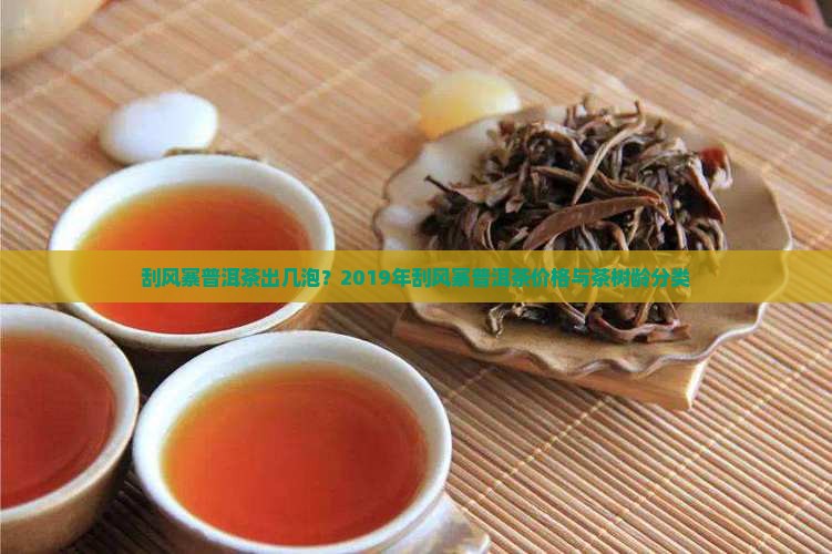 刮风寨普洱茶出几泡?2019年刮风寨普洱茶价格与茶树龄分类 刮风寨普洱茶出几泡?2019年刮风寨普洱茶价格与茶树龄分类