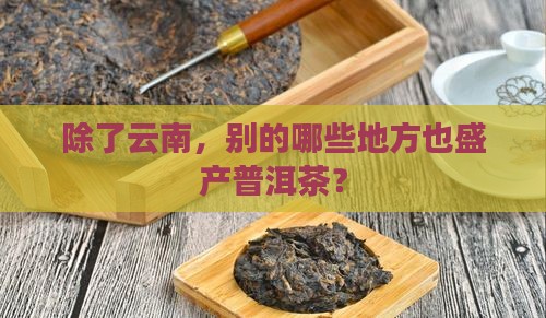 除了云南,别的哪些地方也盛产普洱茶? 除了云南,别的哪些地方也盛产普洱茶?