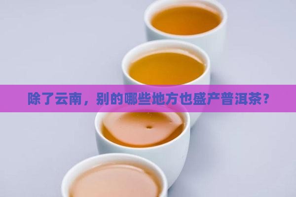 除了云南,别的哪些地方也盛产普洱茶? 除了云南,别的哪些地方也盛产普洱茶?