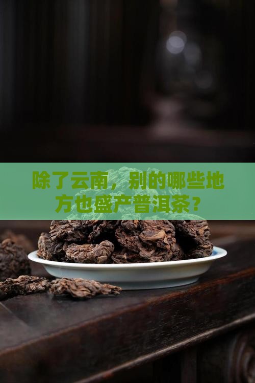 除了云南,别的哪些地方也盛产普洱茶? 除了云南,别的哪些地方也盛产普洱茶?