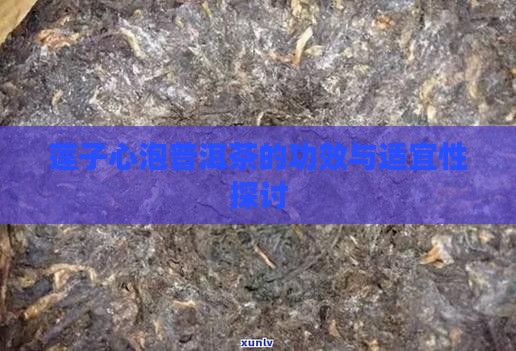 莲子心泡普洱茶的功效与适宜性探讨 莲子心泡普洱茶的功效与适宜性探讨