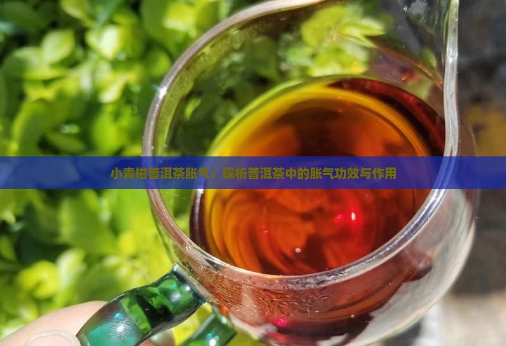 小青柑普洱茶胀气:探析普洱茶中的胀气功效与作用 小青柑普洱茶胀气:探析普洱茶中的胀气功效与作用
