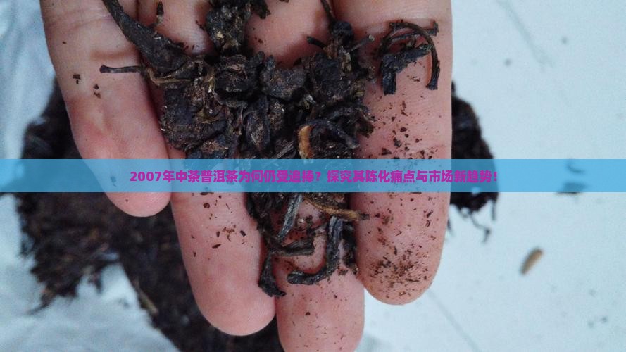 2007年中茶普洱茶为何仍受追捧？探究其陈化痛点与市场新趋势！