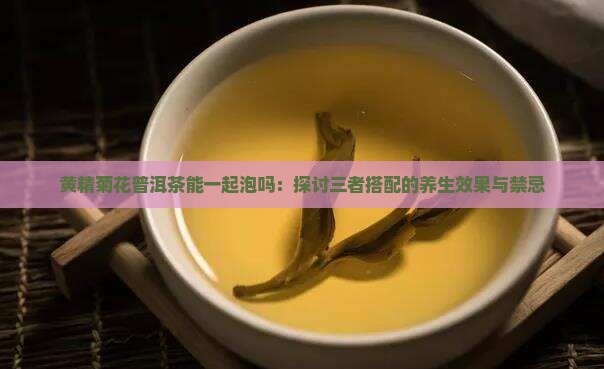 黄精菊花普洱茶能一起泡吗：探讨三者搭配的养生效果与禁忌
